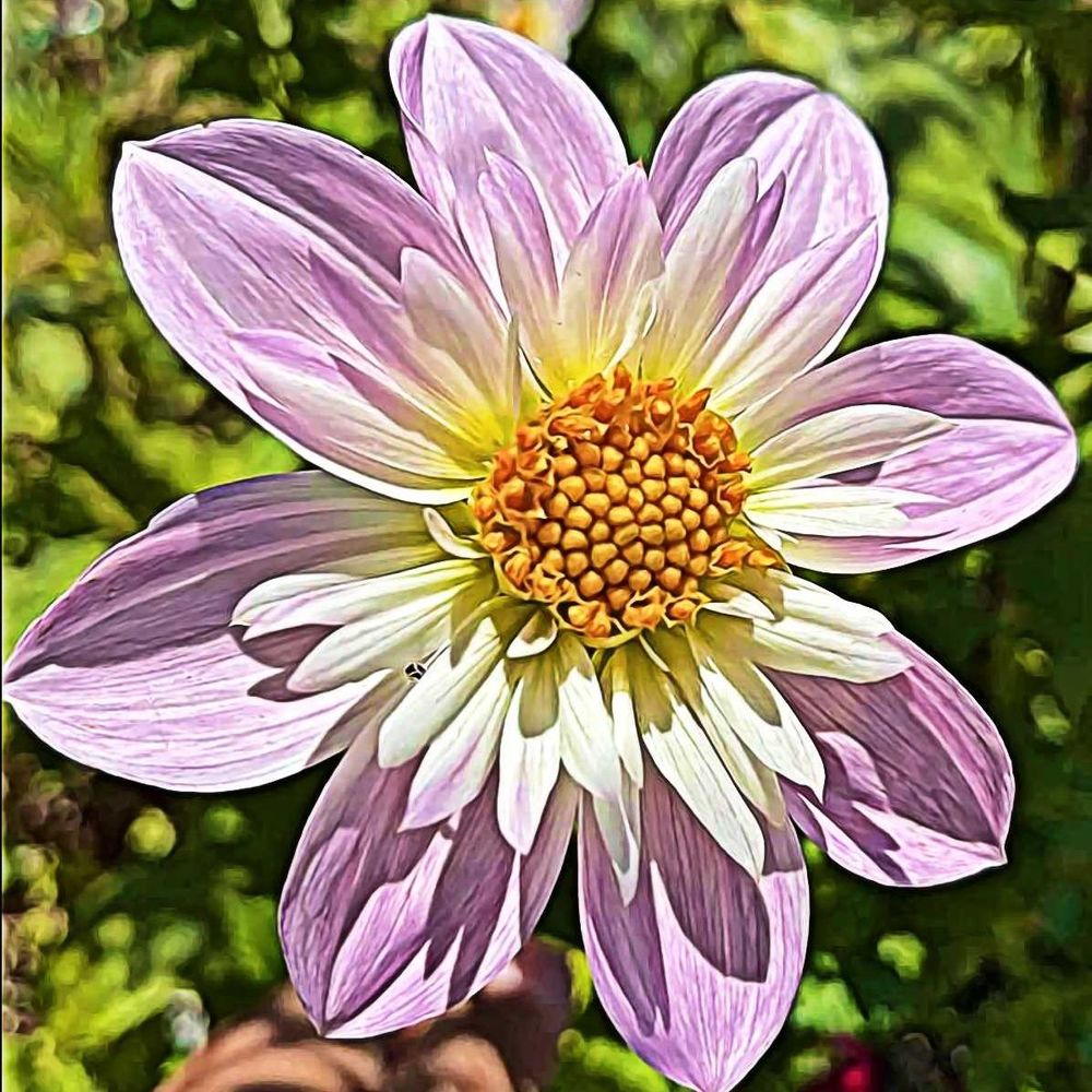 Meet your Posher, Sharon